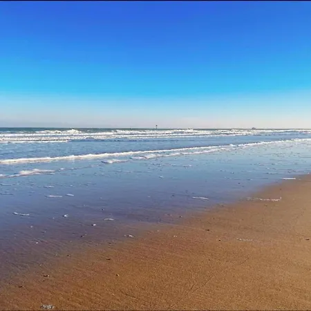 In Near The * Knokke-Heist