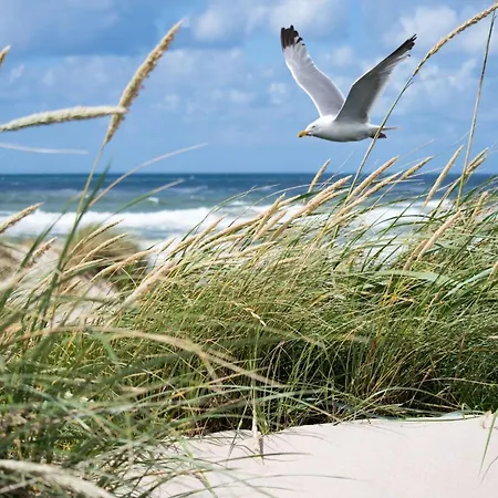 Lägenhet In Near The *