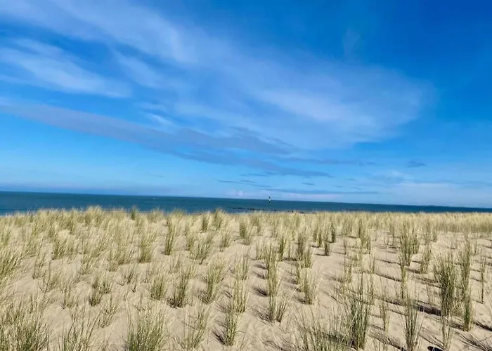 In Near The Apartamento *