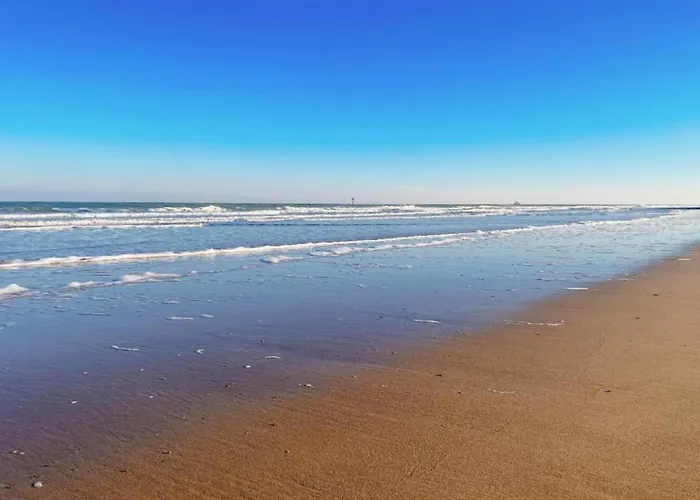 In Near The * Knokke-Heist