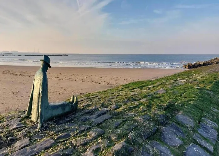 Apartamento In Near The Knokke-Heist