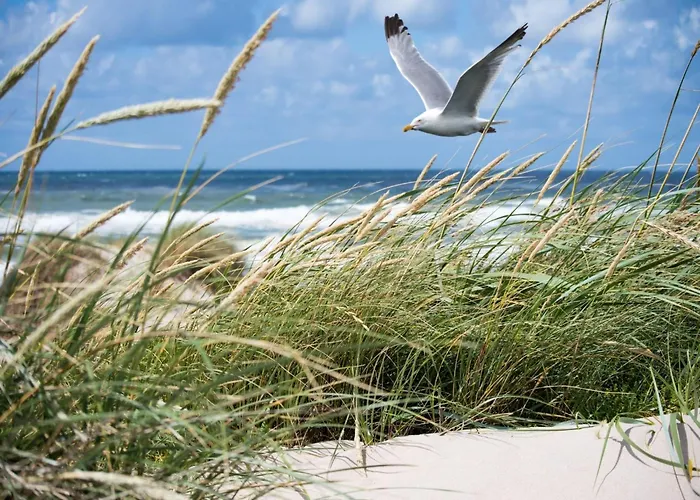 Apartamento In Near The *